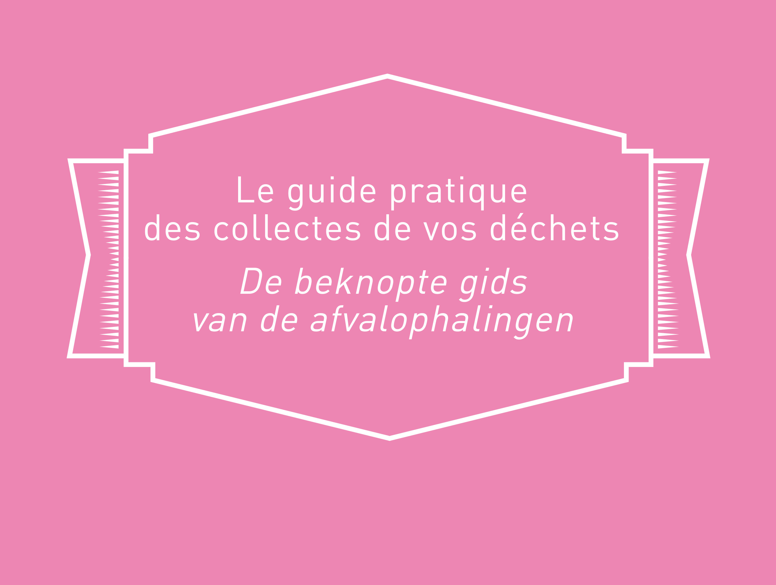 Praktische gids over vuilnisophaling Net Brussel